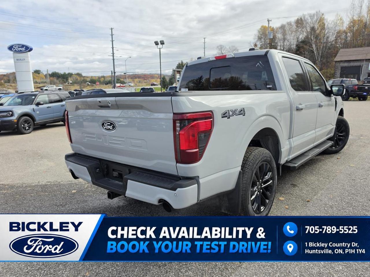 2026 Ford F-150 XLT Photo