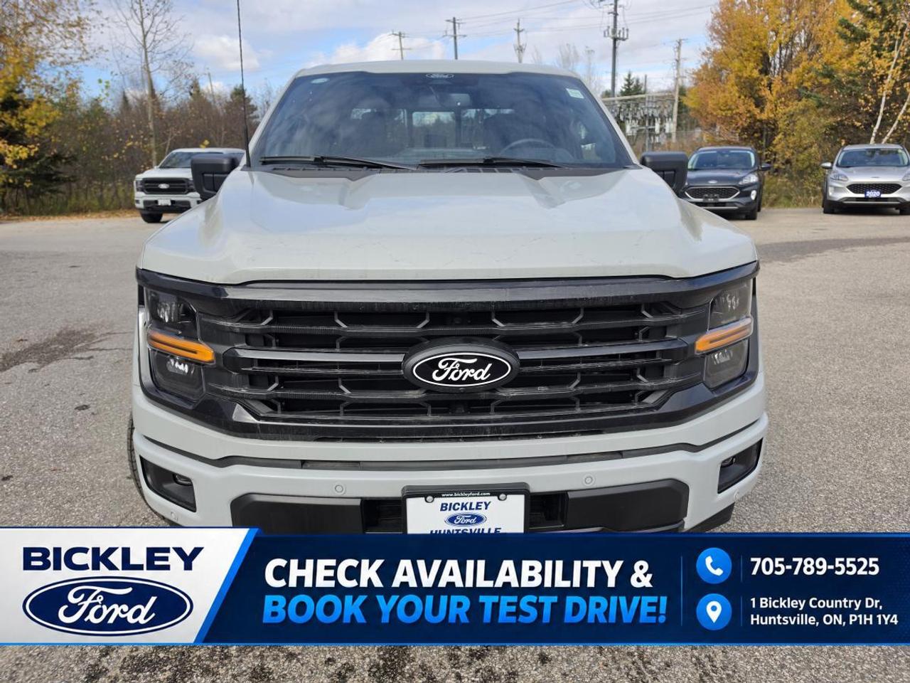 2026 Ford F-150 XLT Photo5