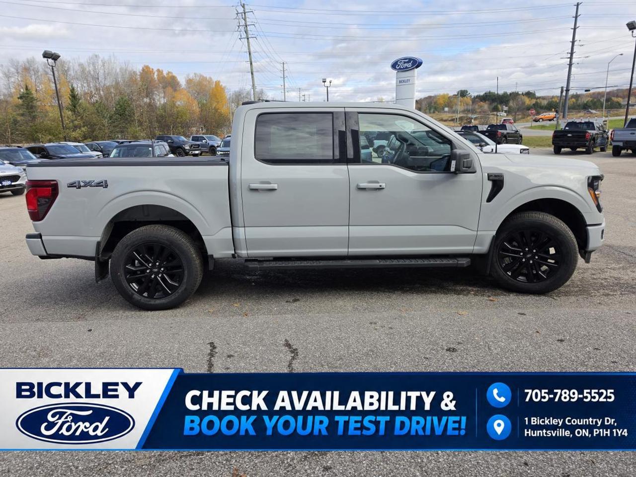 2026 Ford F-150 XLT Photo