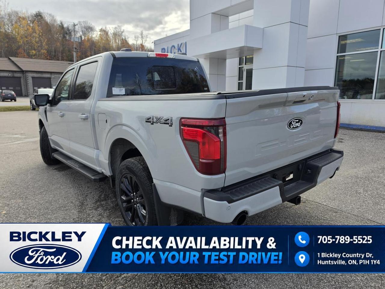 2026 Ford F-150 XLT Photo