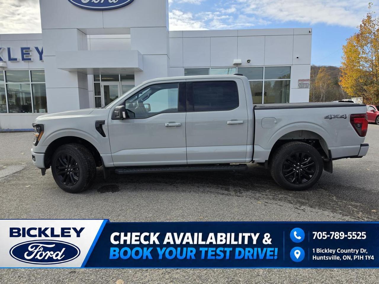 2026 Ford F-150 XLT Photo
