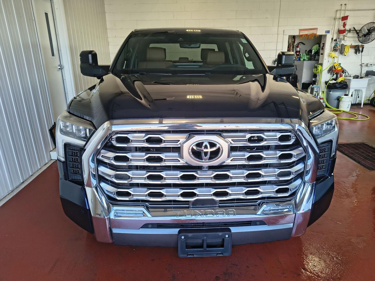 2023 Toyota Tundra Platinum Photo