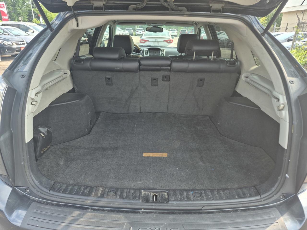 2008 Lexus RX 350 Photo