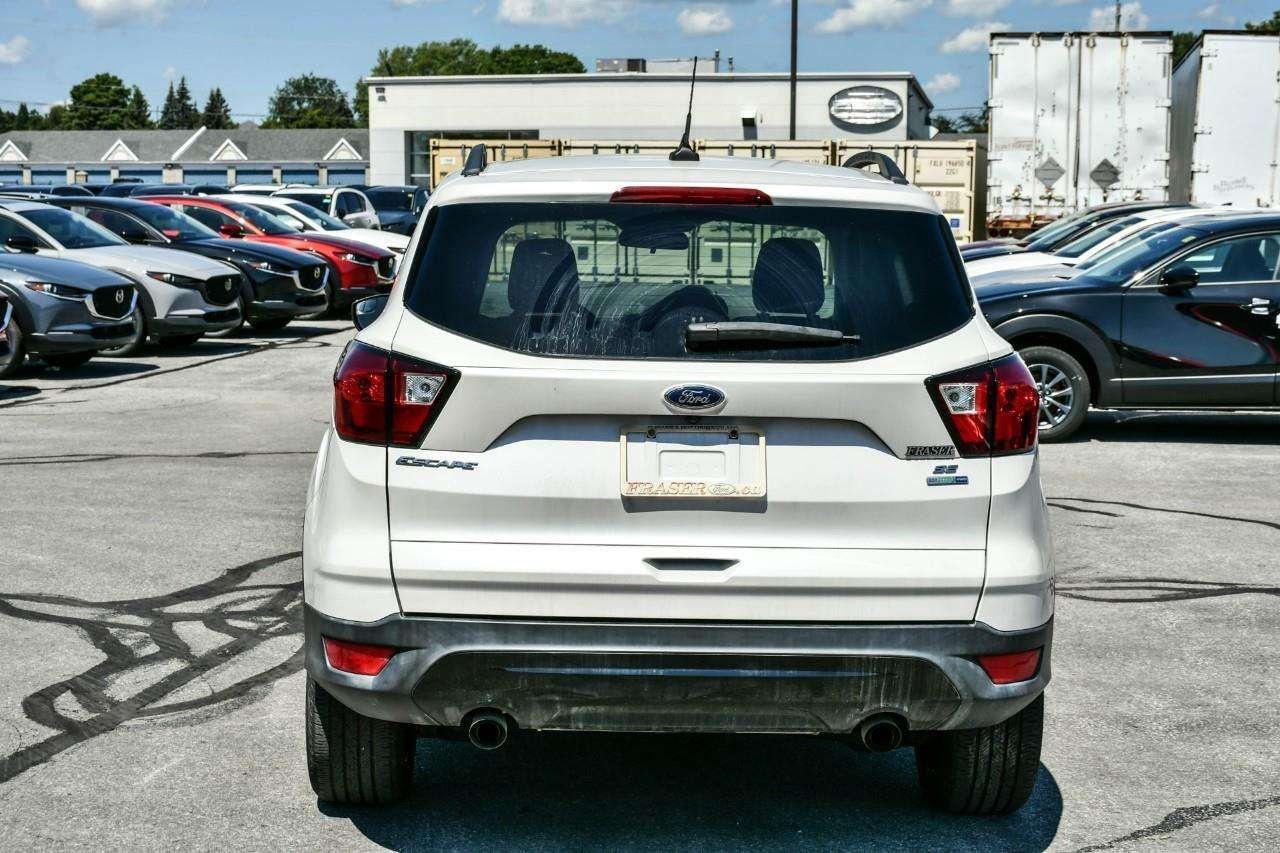 2019 Ford Escape SE Photo