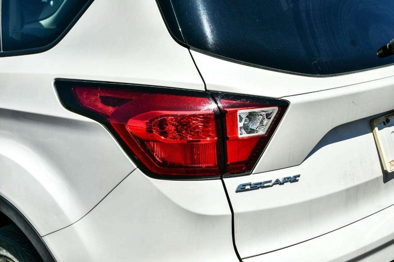 2019 Ford Escape SE Photo