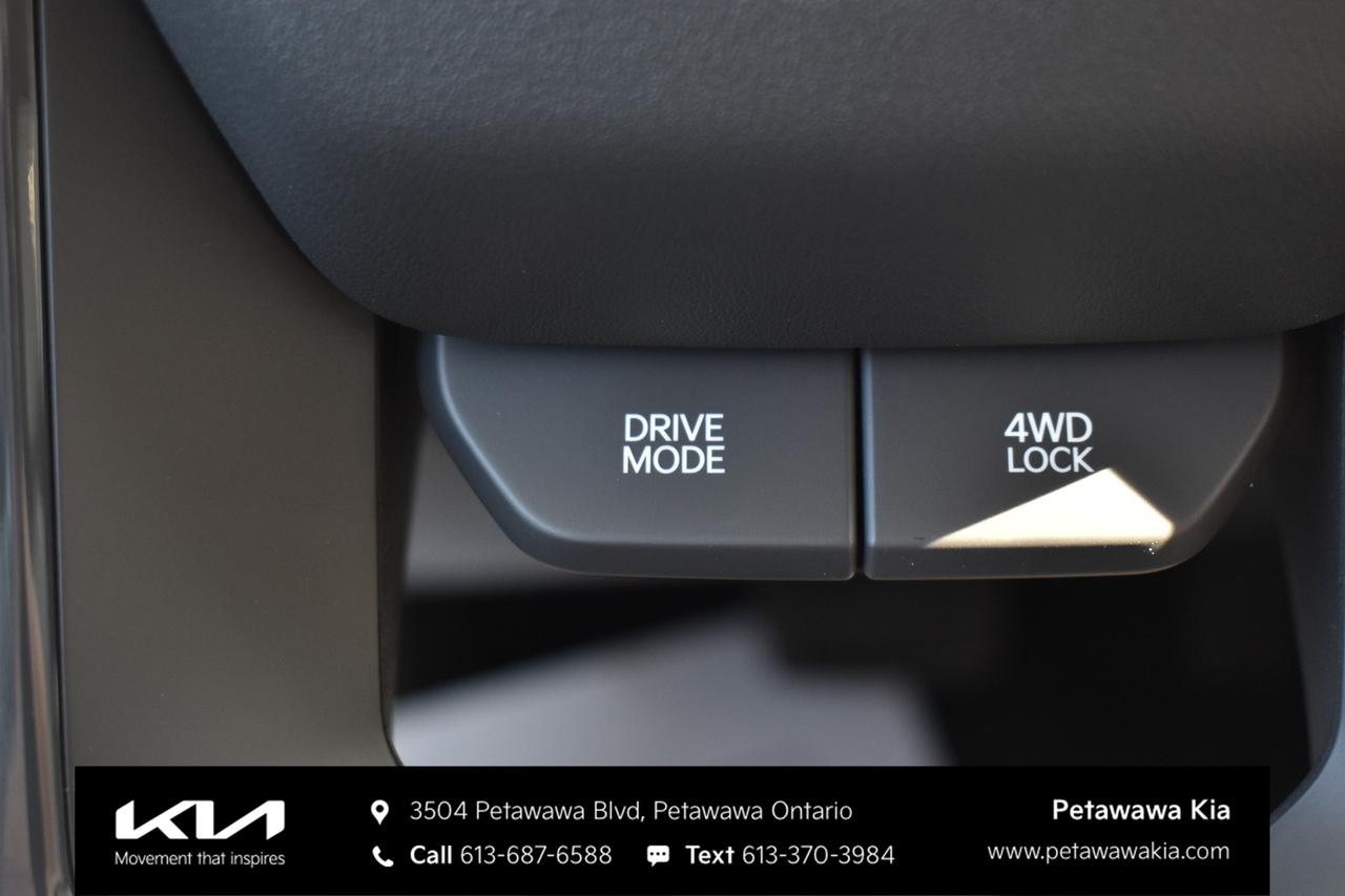 2027 Kia Seltos LX 4dr All-Wheel Drive Photo