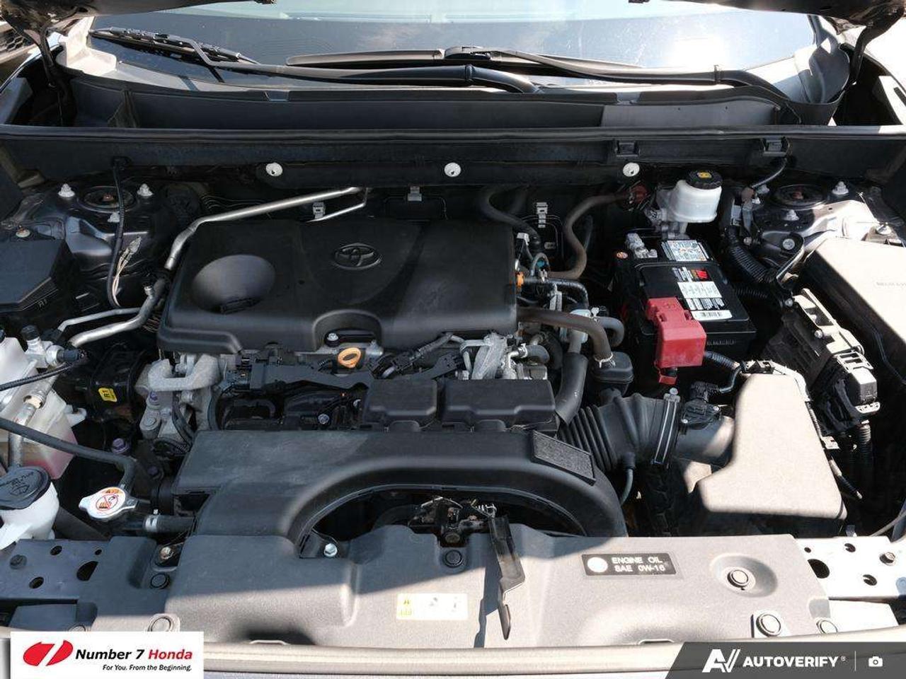 2020 Toyota RAV4 XLE AWD Photo