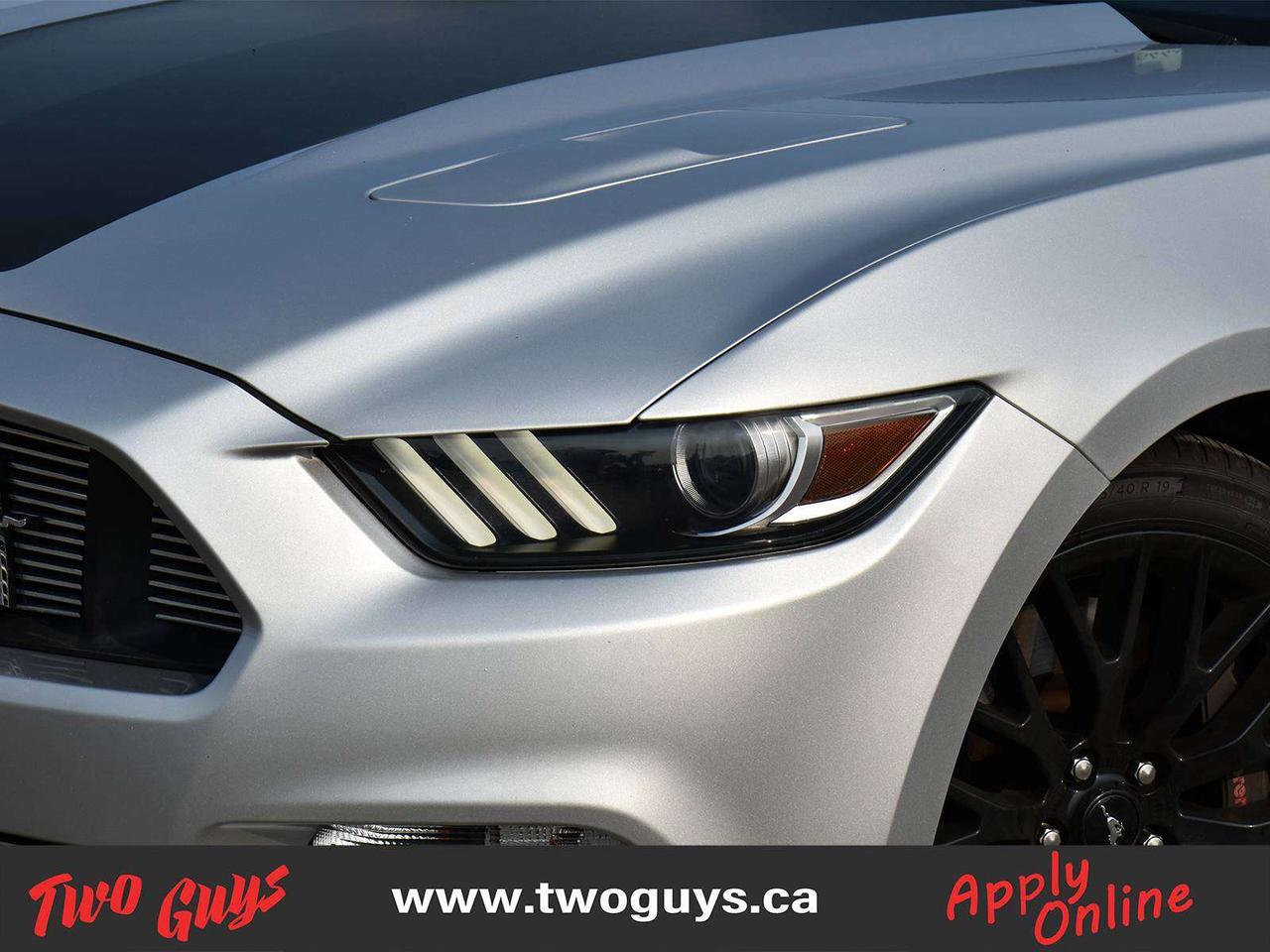 2017 Ford Mustang GT Leather Back Up Camera Photo