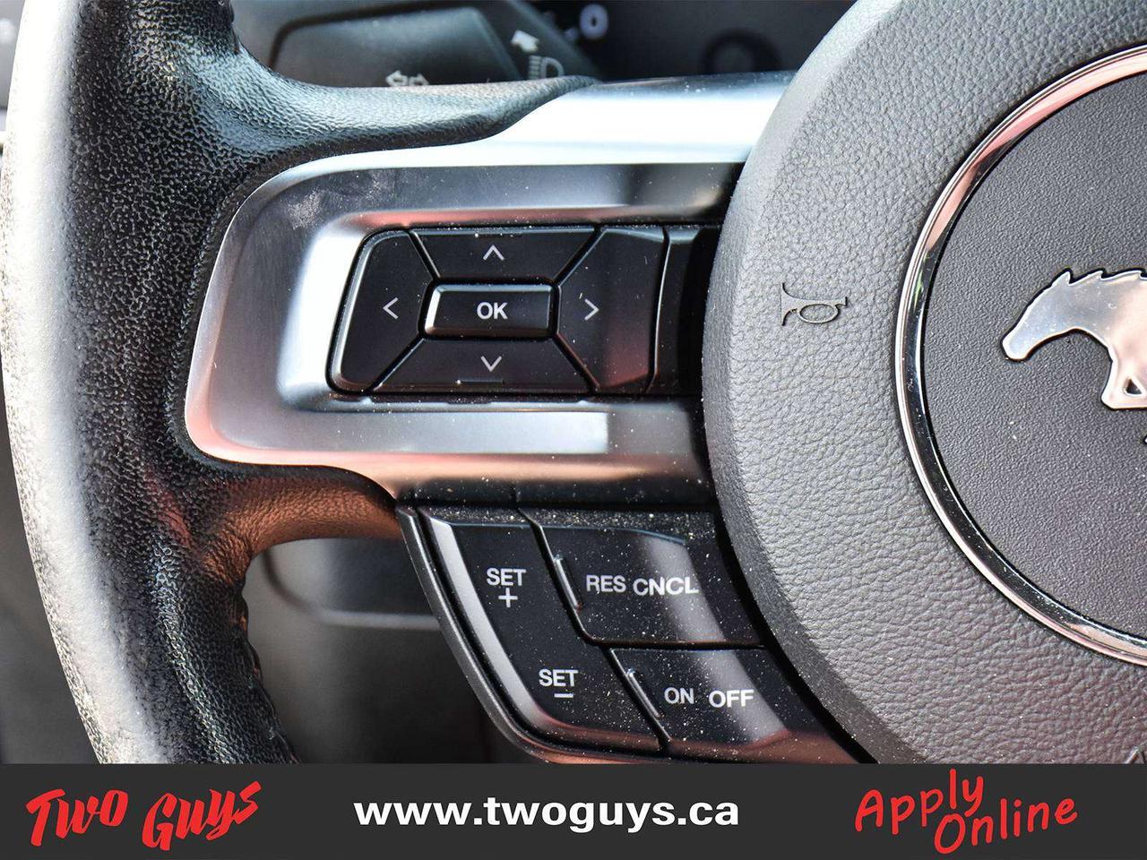 2017 Ford Mustang GT Leather Back Up Camera Photo