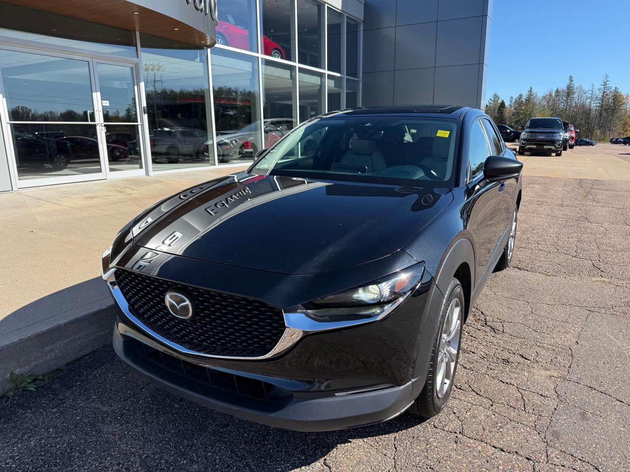 2021 Mazda CX-30 GS 4dr i-ACTIV All-Wheel Drive Sport Utility Photo
