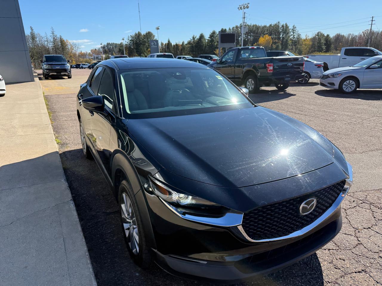 2021 Mazda CX-30 GS 4dr i-ACTIV All-Wheel Drive Sport Utility Photo