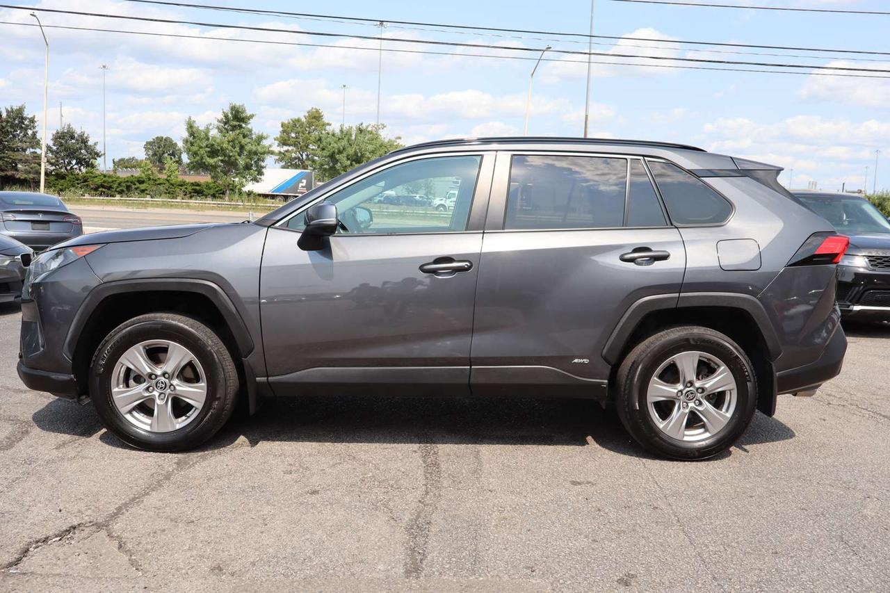 2023 Toyota RAV4 LE Premium   No Accident   Clean Carfax Photo