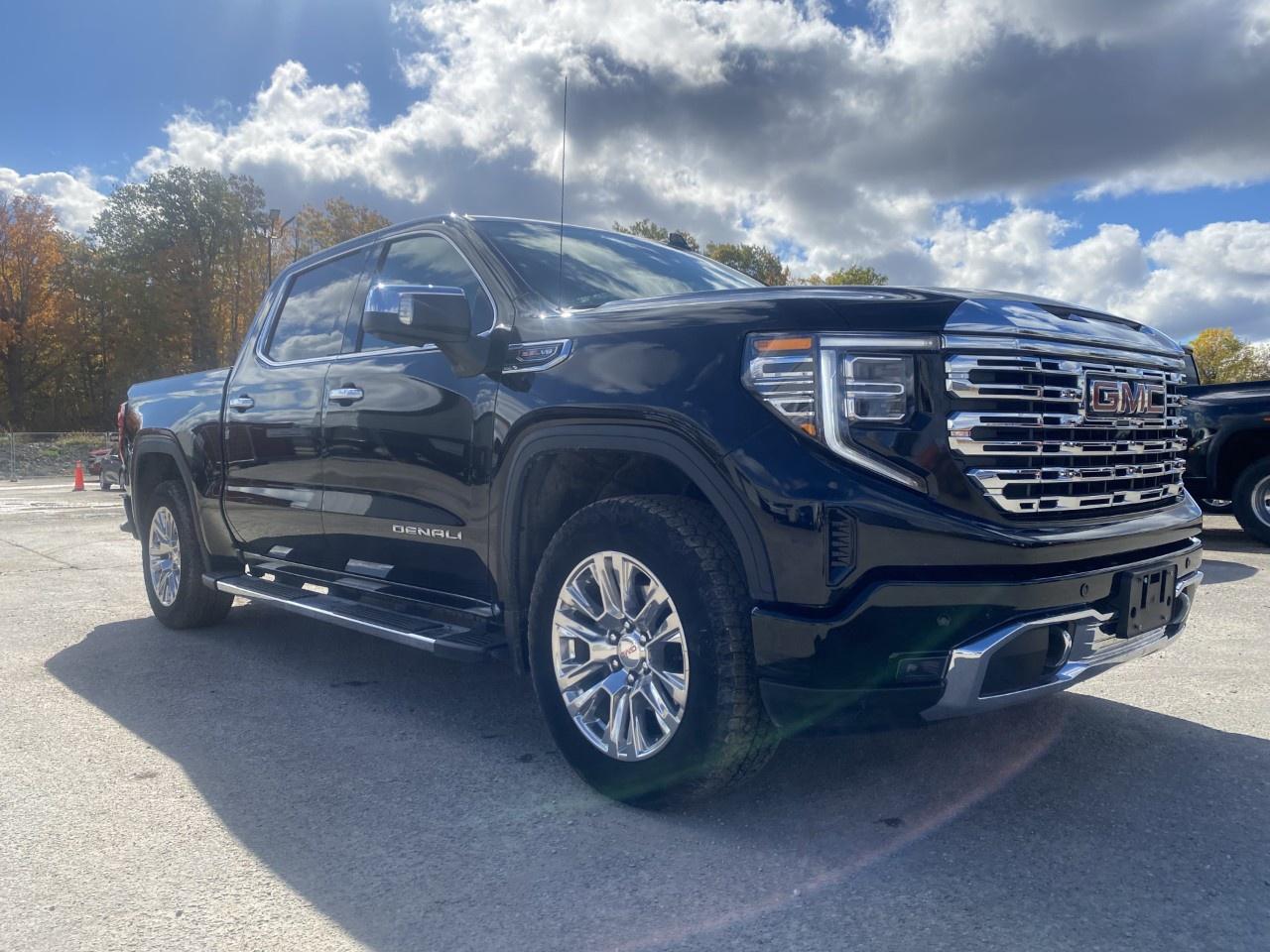 2025 GMC Sierra 1500 Crew Cab Short Box 4-Wheel Drive Denali Photo