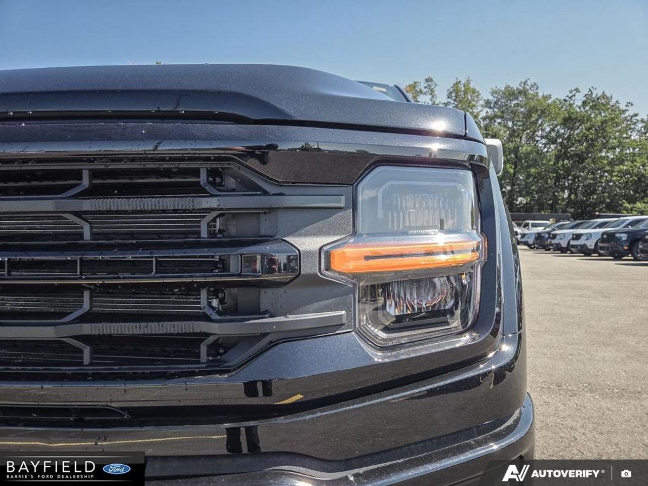 2026 Ford F-150 XLT Photo