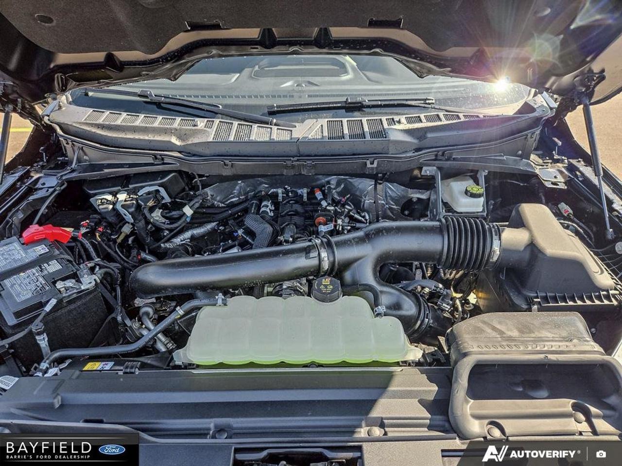 2026 Ford F-150 XLT Photo