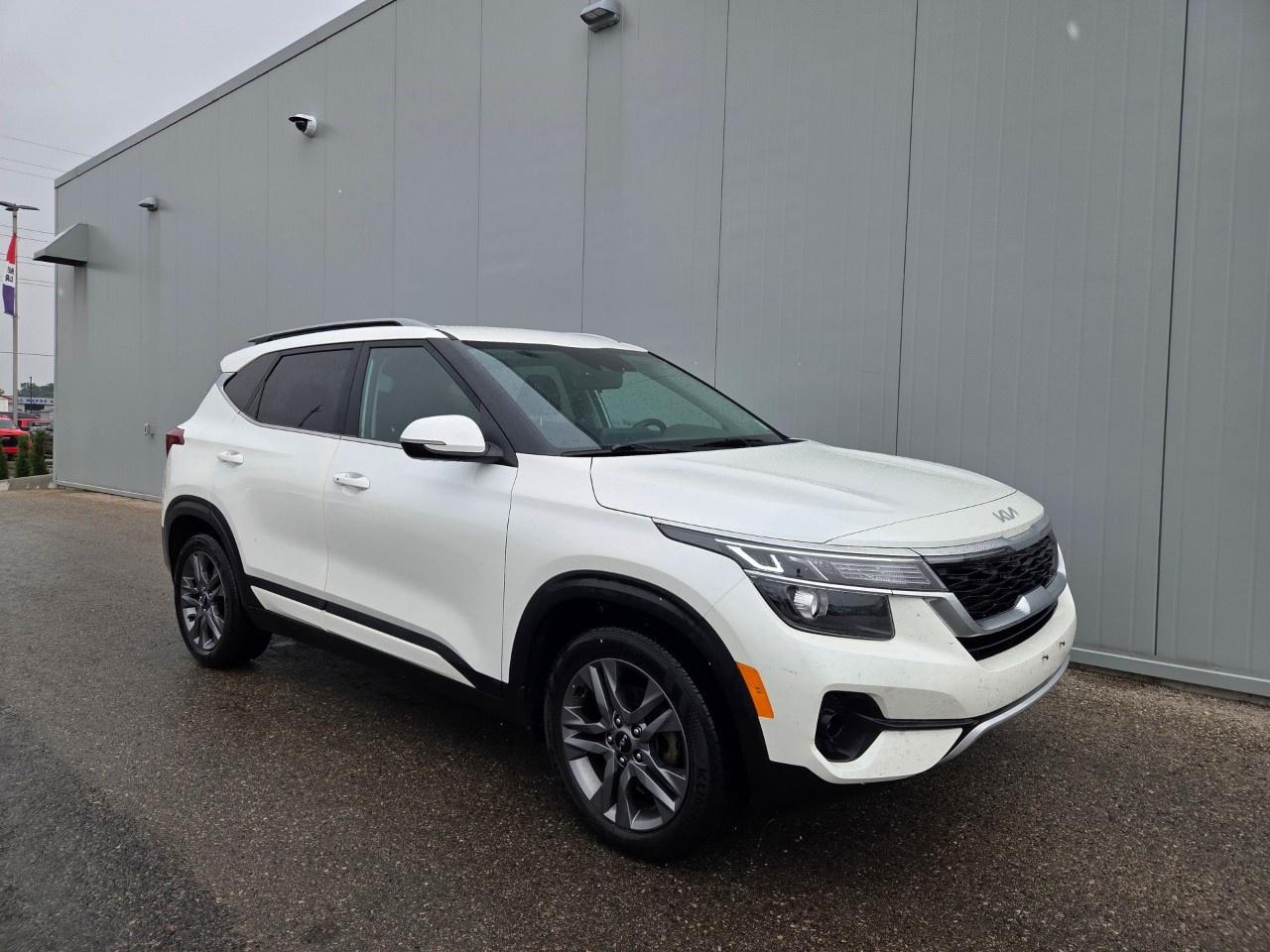 Used 2023 Kia Seltos EX FWD for sale in Listowel, ON