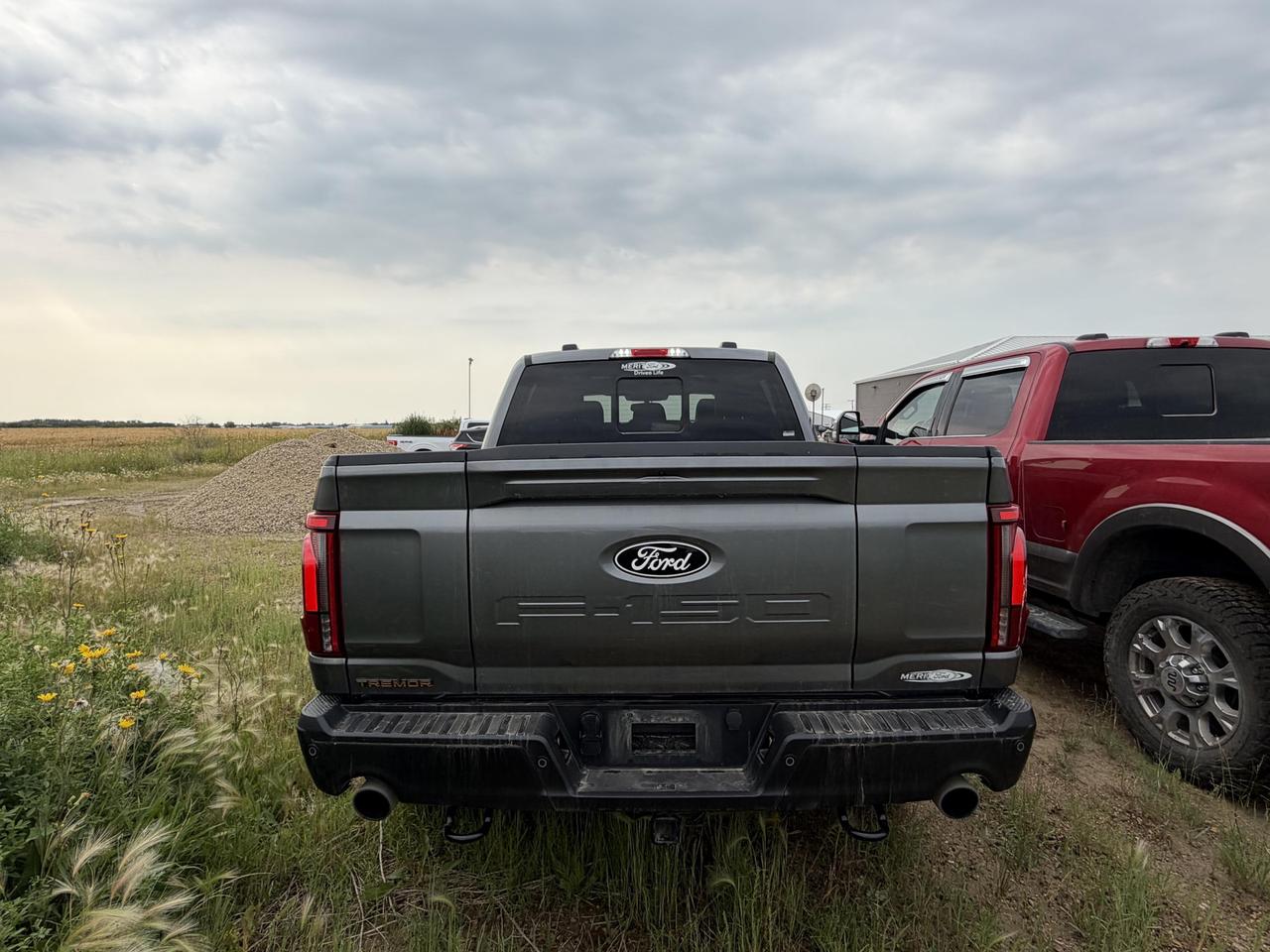 2024 Ford F-150 Tremor 3.5L V6 ECOBOOST 402A+ Photo3