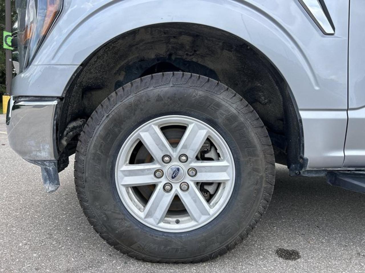 2023 Ford F-150 XLT FX4 SuperCrew 6.5' Box 4WD | One Owner | No Accidents Photo
