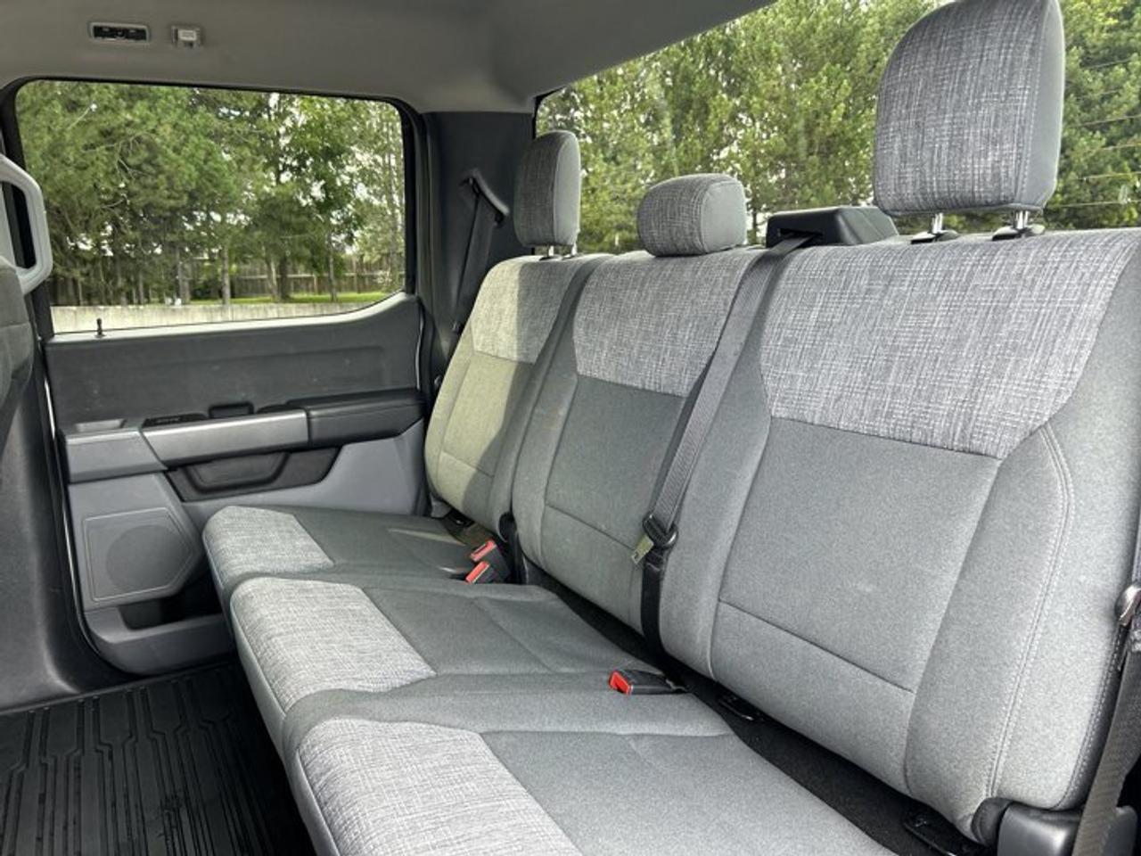 2023 Ford F-150 XLT FX4 SuperCrew 6.5' Box 4WD | One Owner | No Accidents Photo