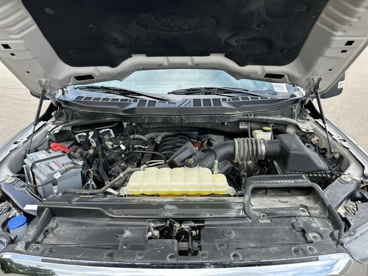 2023 Ford F-150 XLT FX4 SuperCrew 6.5' Box 4WD | One Owner | No Accidents Photo