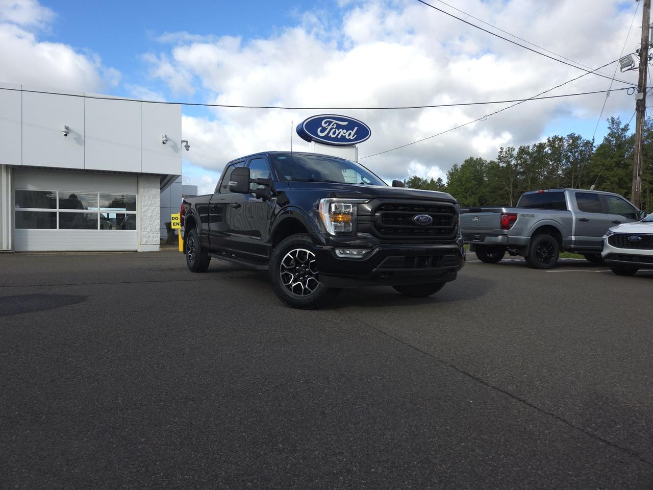 2023 Ford F-150 XLT SUPERCREW 4X4 W/ 6.5 BOX / FX4 Photo0