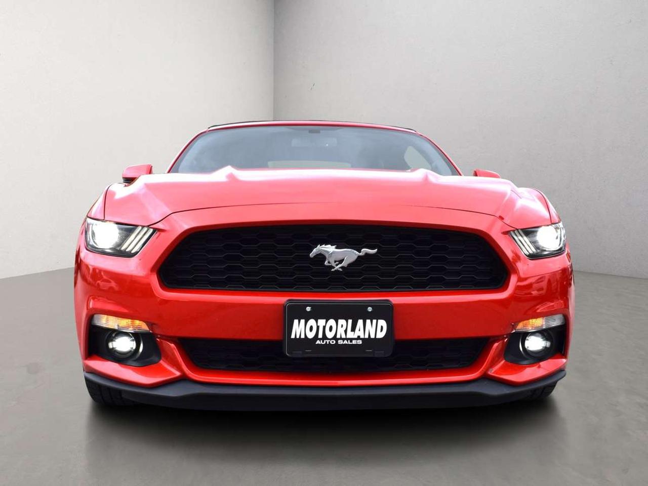 2016 Ford Mustang EcoBoost Premium Convertible Photo5