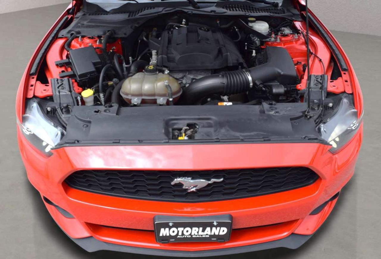 2016 Ford Mustang EcoBoost Premium Convertible Photo