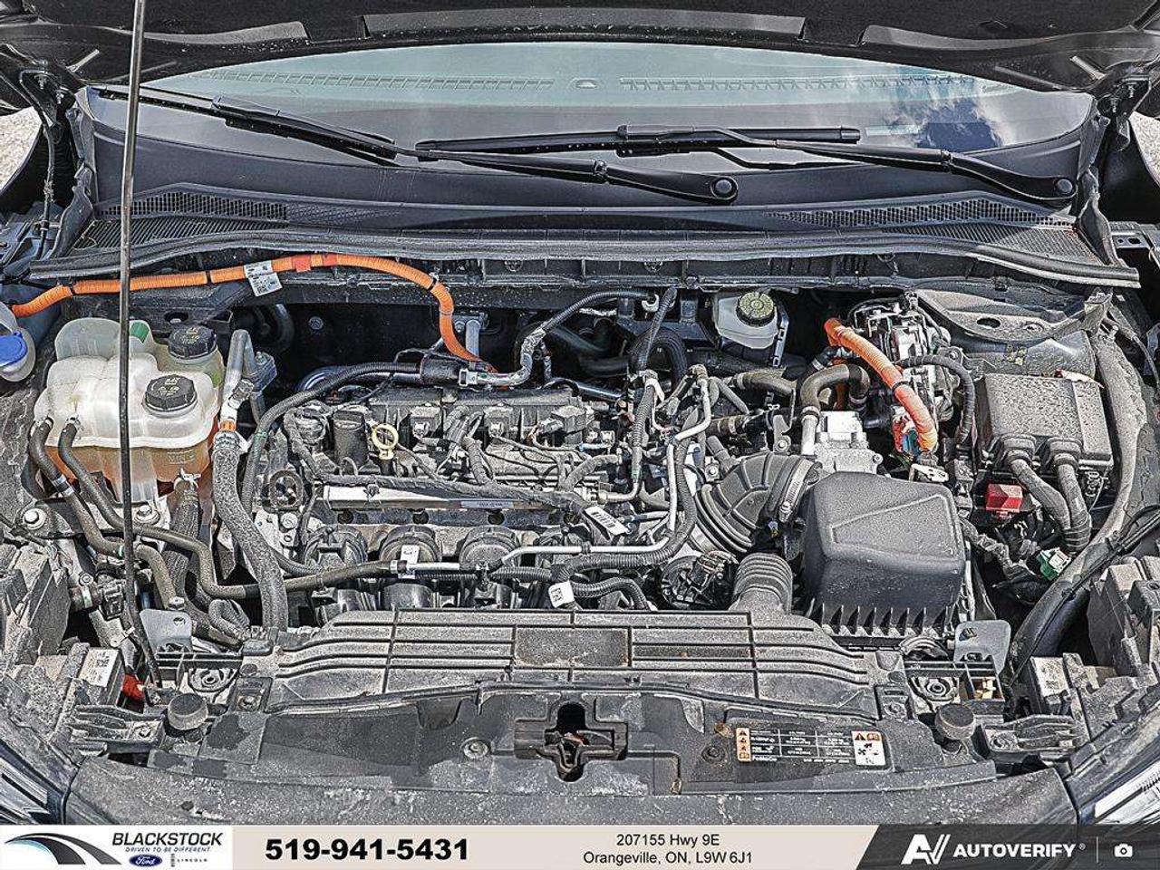2024 Ford Escape ESCAPE ST LINE Photo