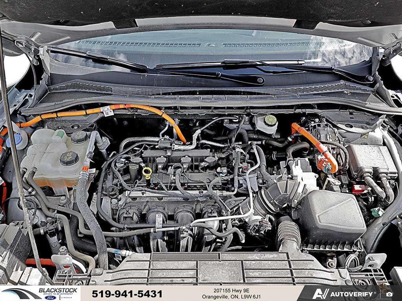 2024 Ford Escape ESCAPE ST LINE Photo
