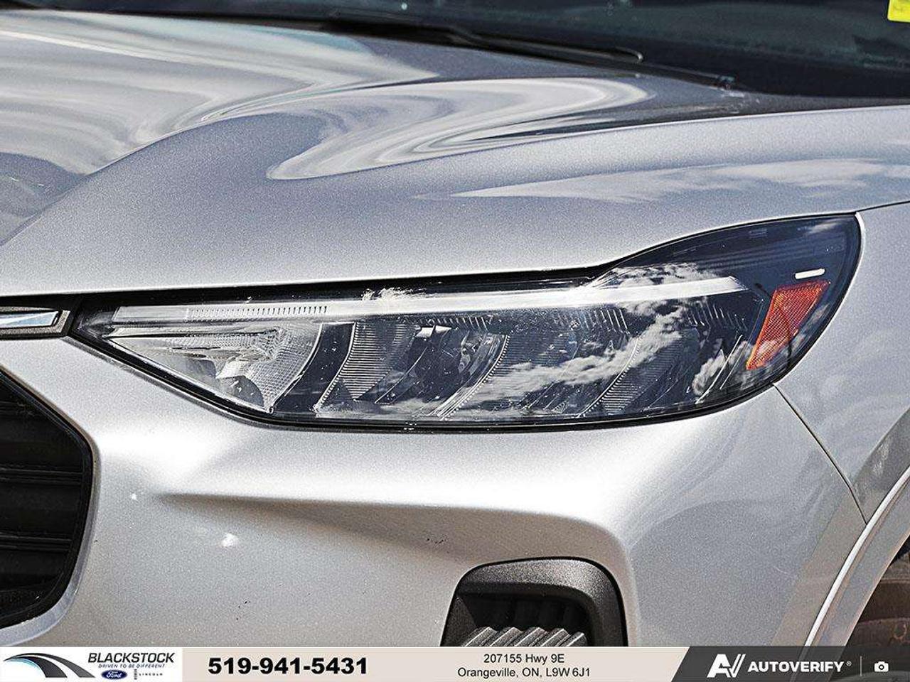 2024 Ford Escape ESCAPE ST LINE Photo