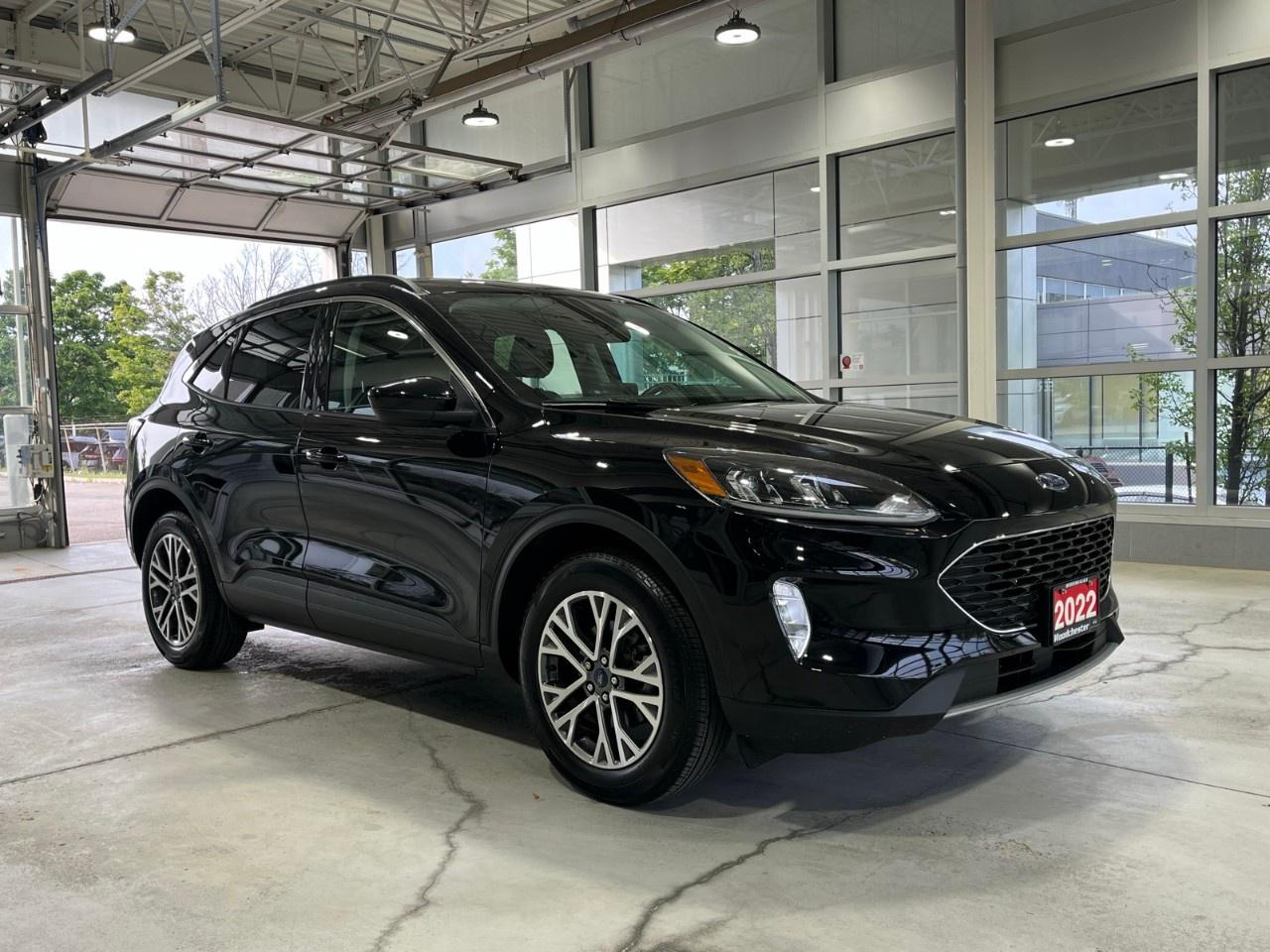 2022 Ford Escape SEL AWD Photo