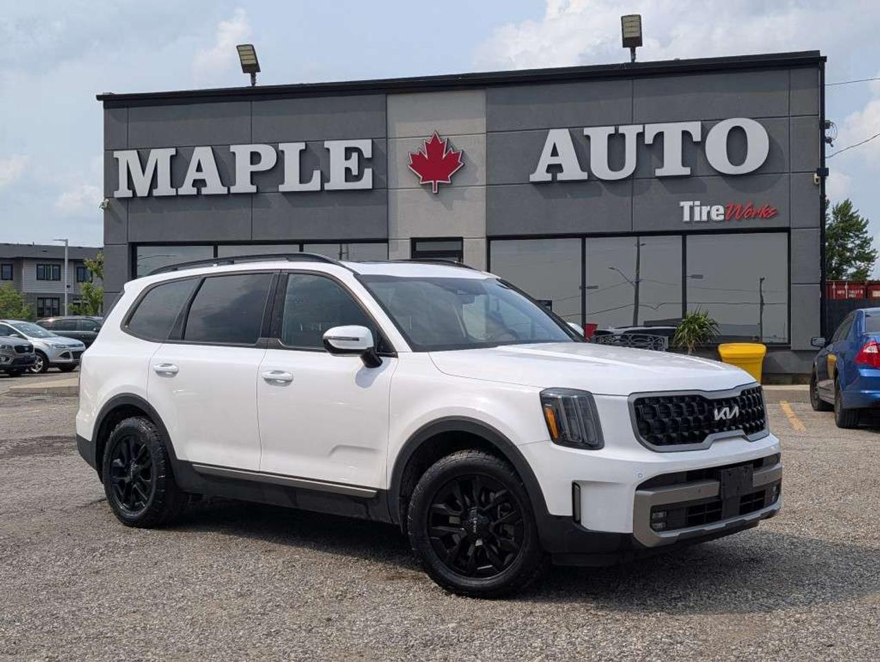 2023 Kia Telluride X-PRO NAV LEATHER ROOF CAMERA HTD COOLED SEATS Photo