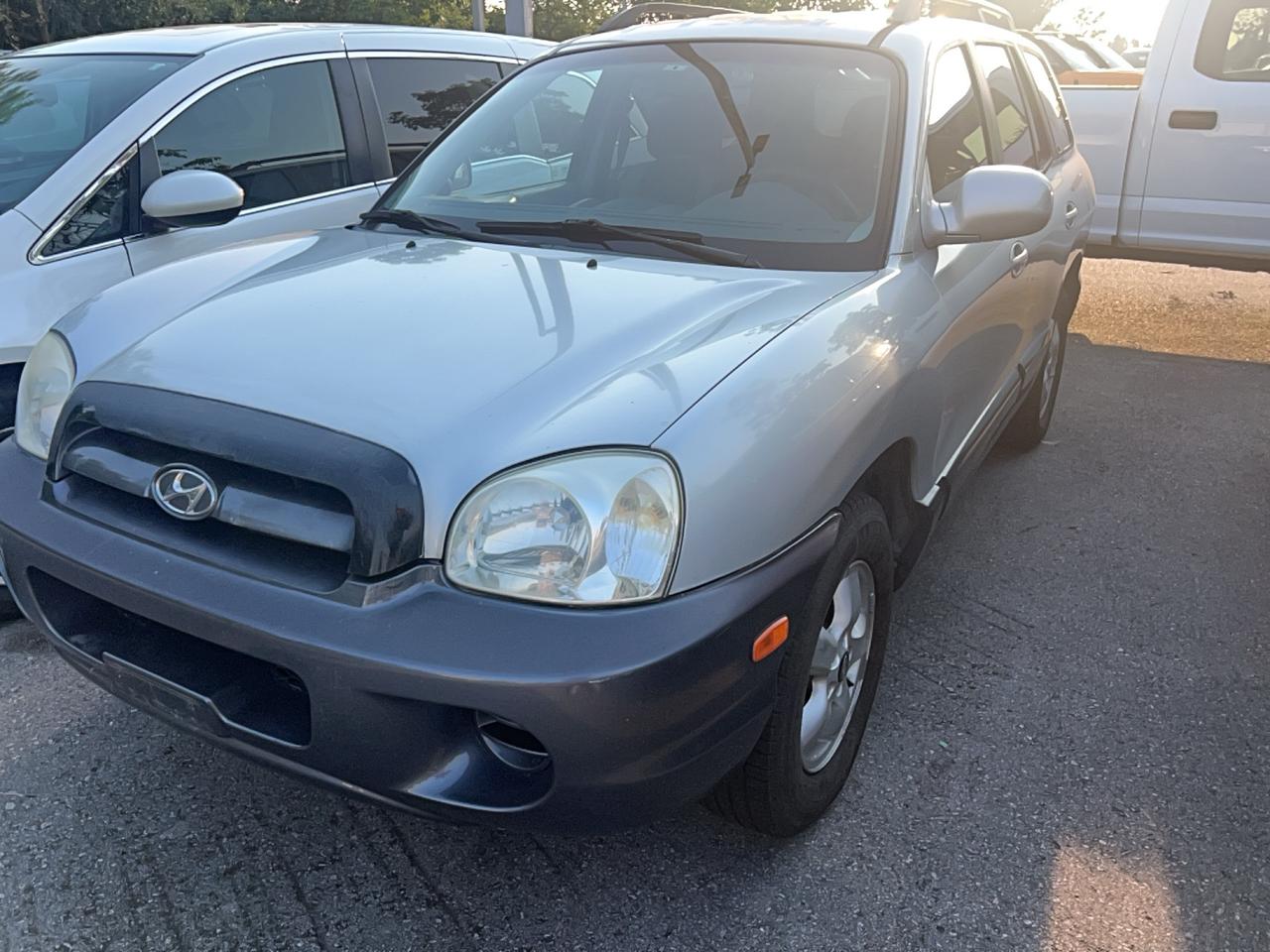 2006 Hyundai Santa Fe GL - Photo #1