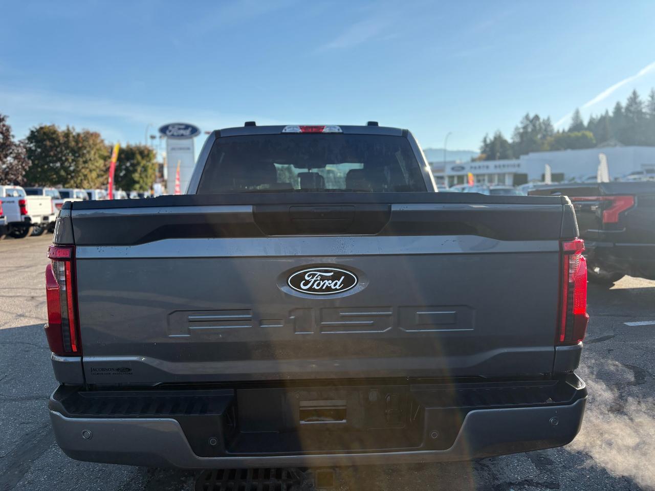 2025 Ford F-150 XLT Photo3