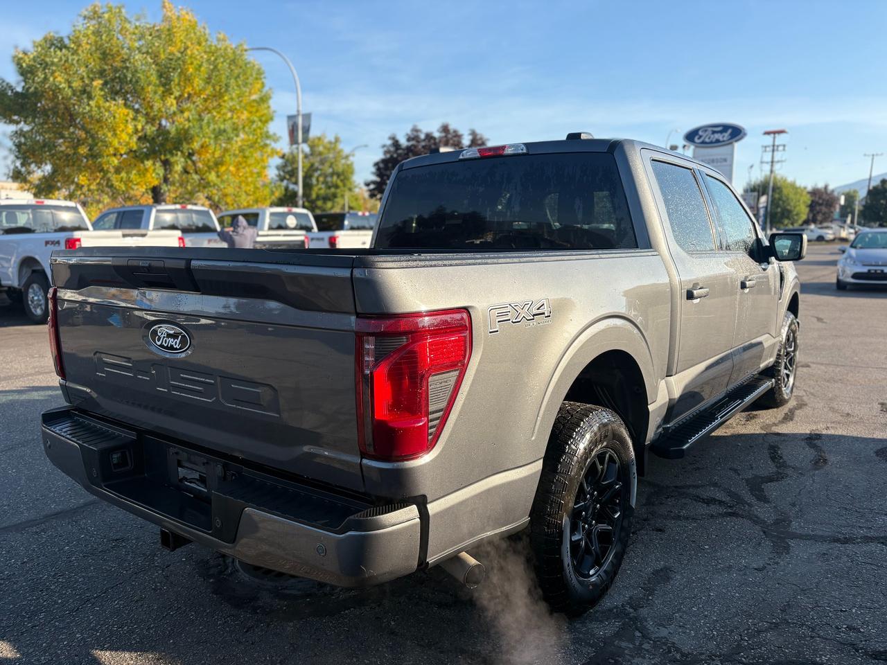 2025 Ford F-150 XLT Photo4