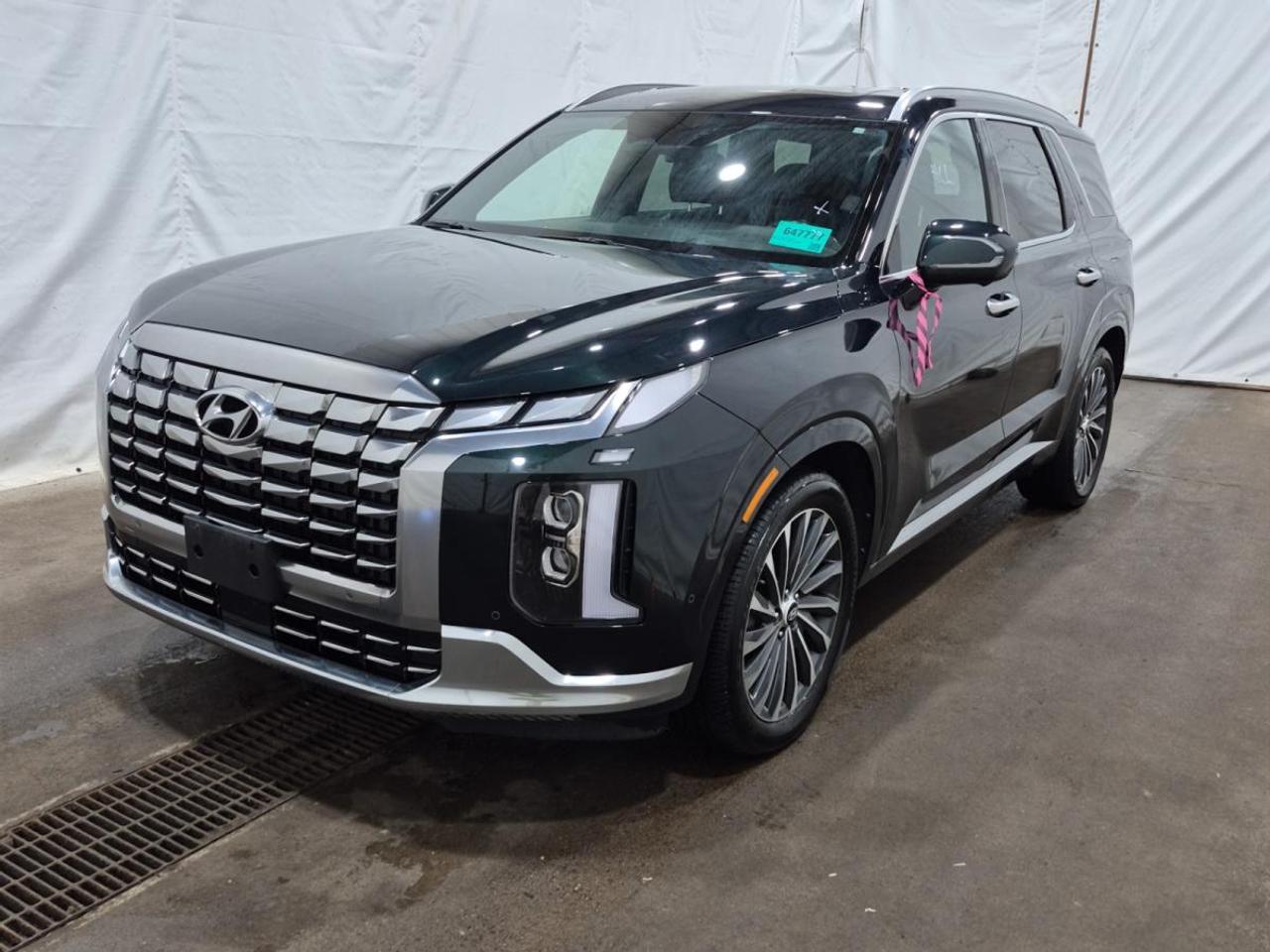 Used 2023 Hyundai PALISADE Ultimate Calligraphy 7-Passenger AWD for sale in Belleville, ON