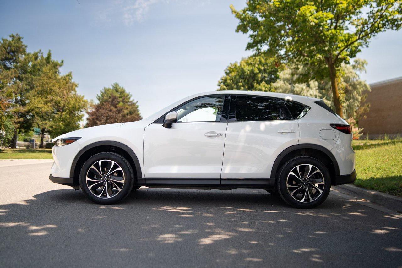 14610150.828858267