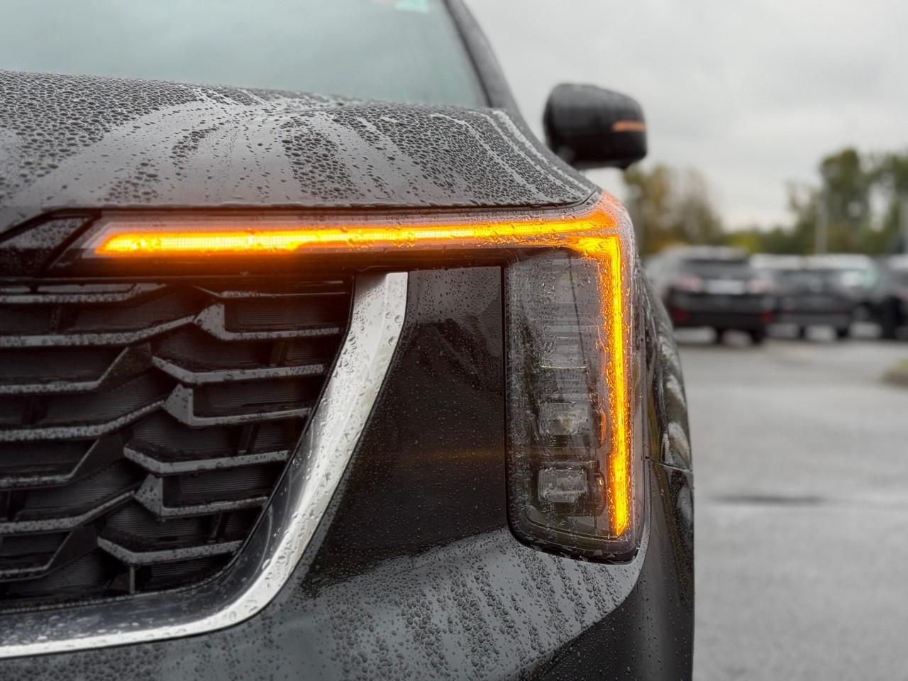 2026 Kia Sorento Hybrid SX AWD Photo