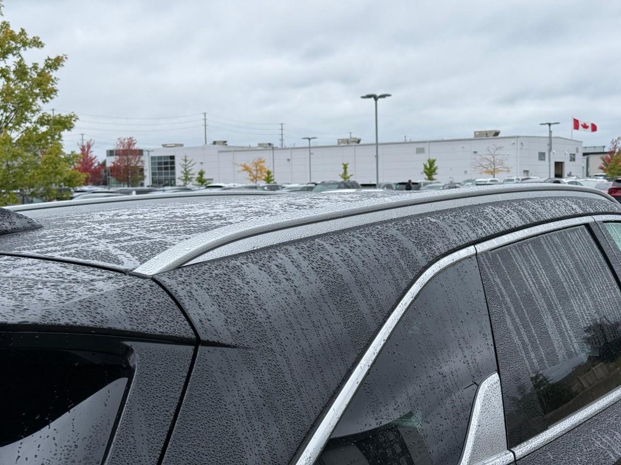 2026 Kia Sorento Hybrid SX AWD Photo