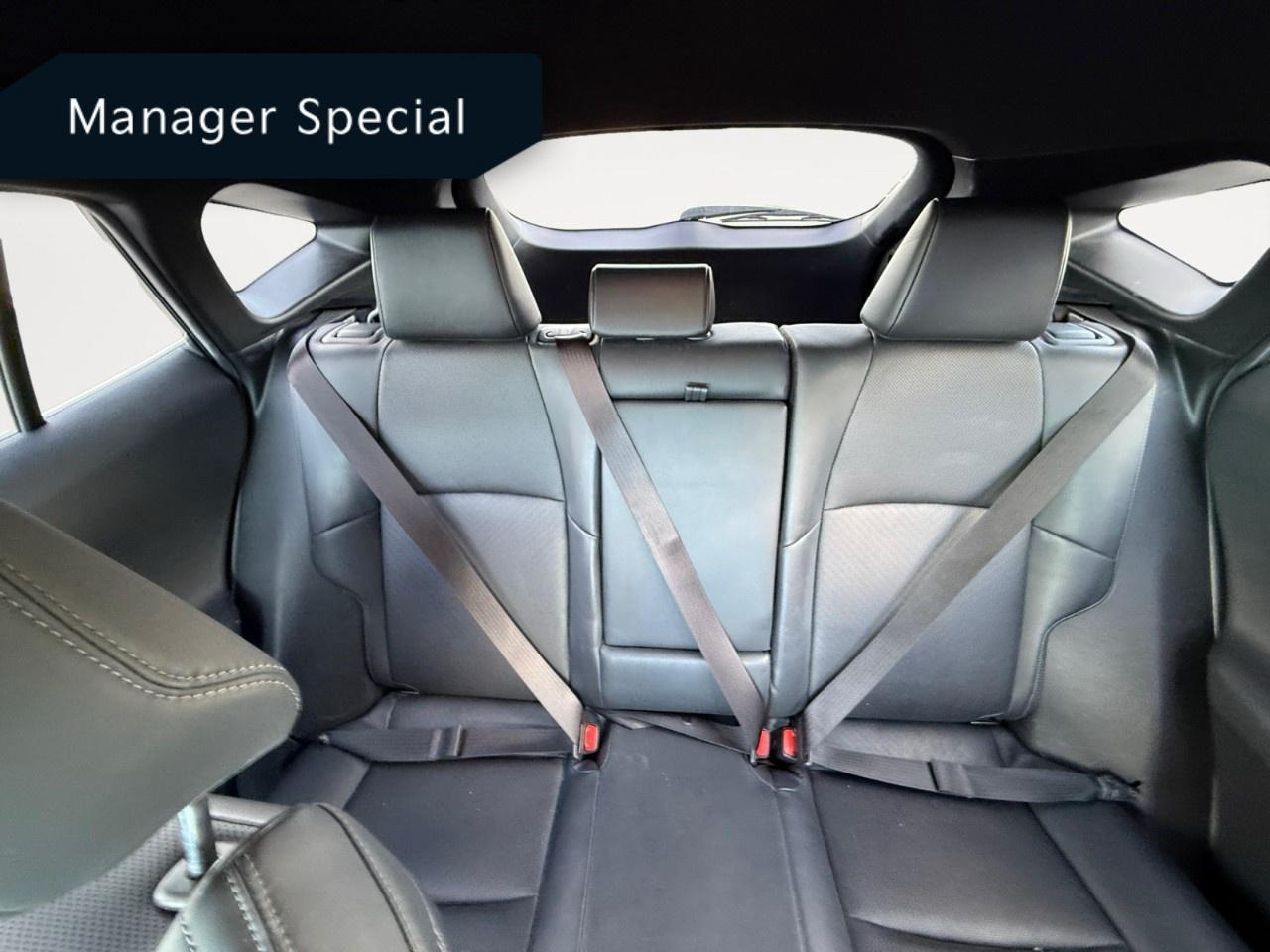 2021 Toyota Venza XLE AWD Photo