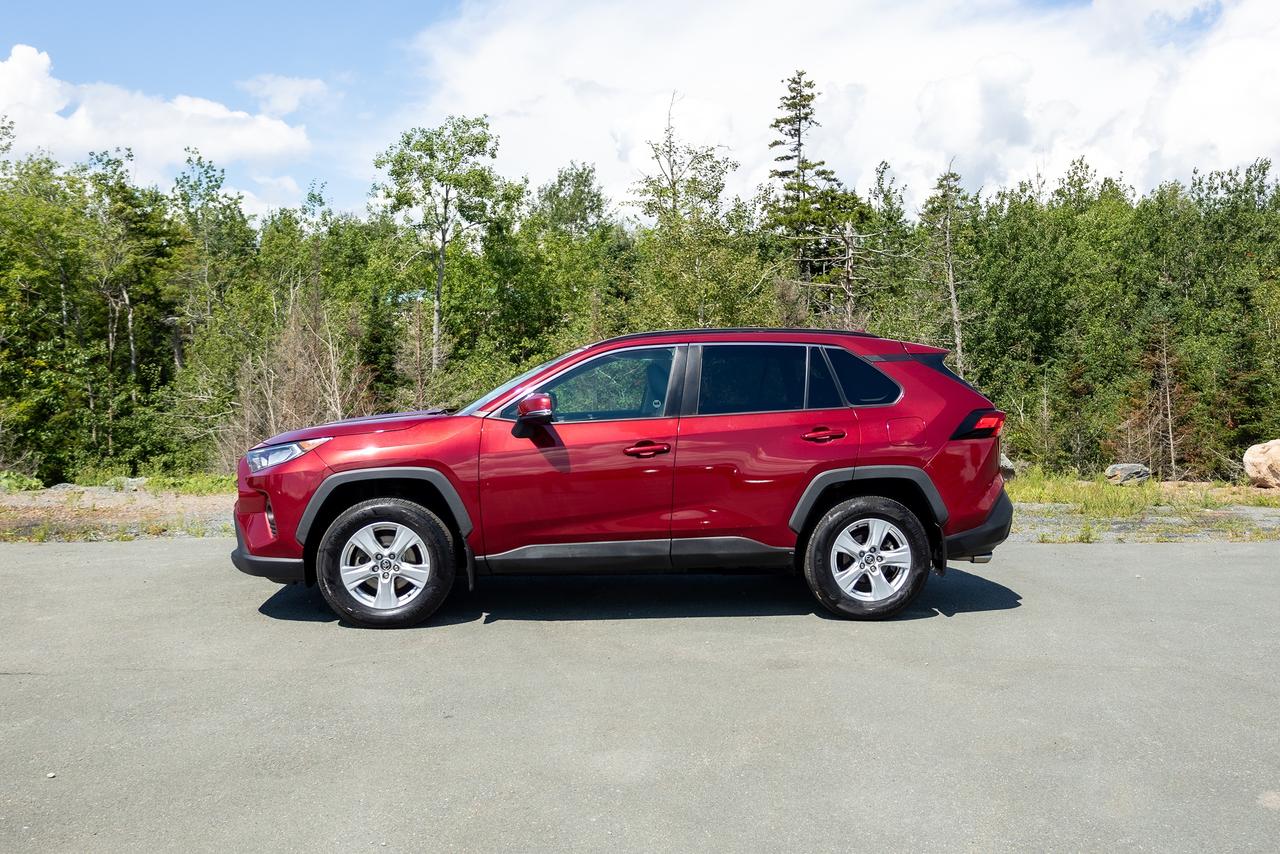 2019 Toyota RAV4