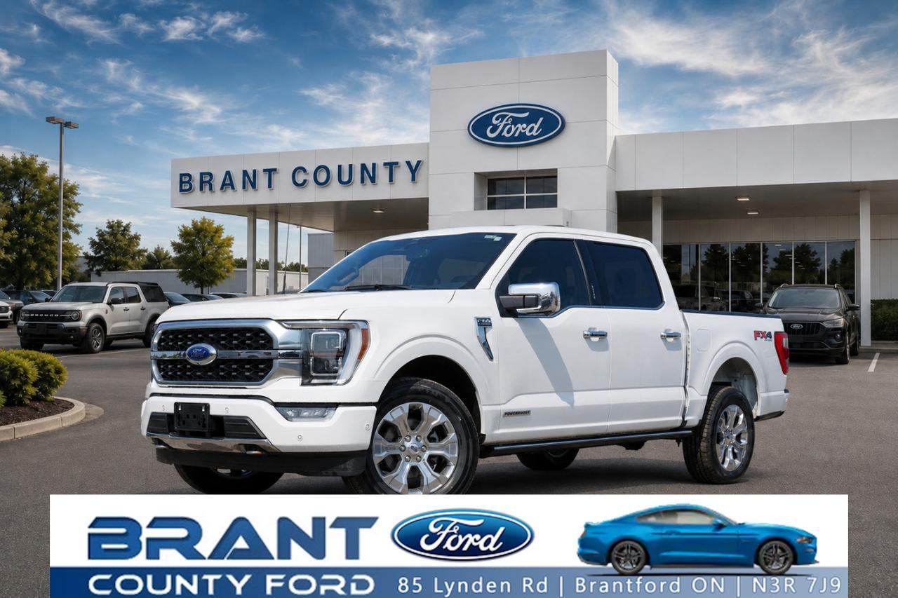 Used 2023 Ford F-150 Platinum 4WD SuperCrew 5.5' Box HYBRID  LOW KM for sale in Brantford, ON