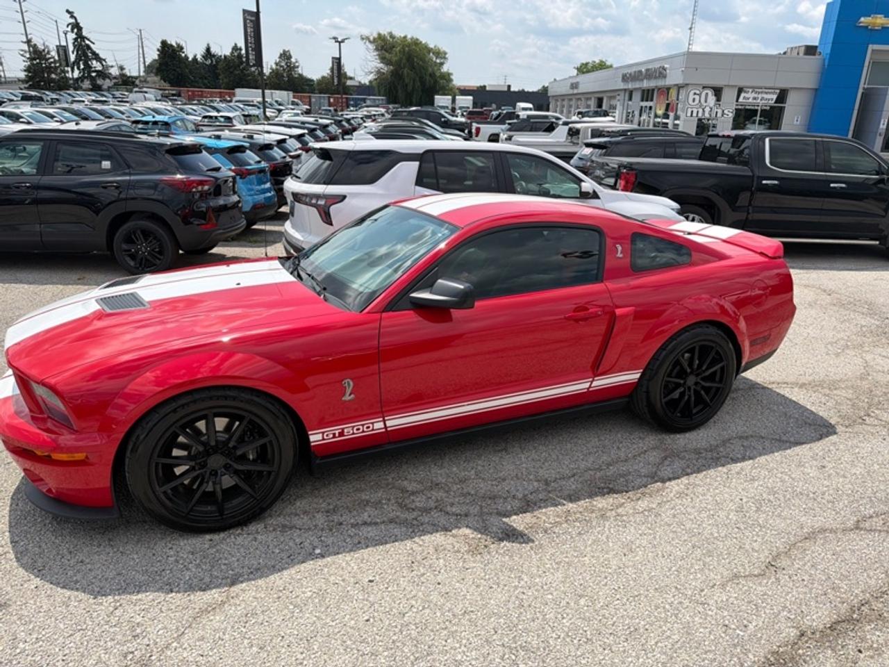 2007 Ford Mustang GT500  - Low Mileage Photo