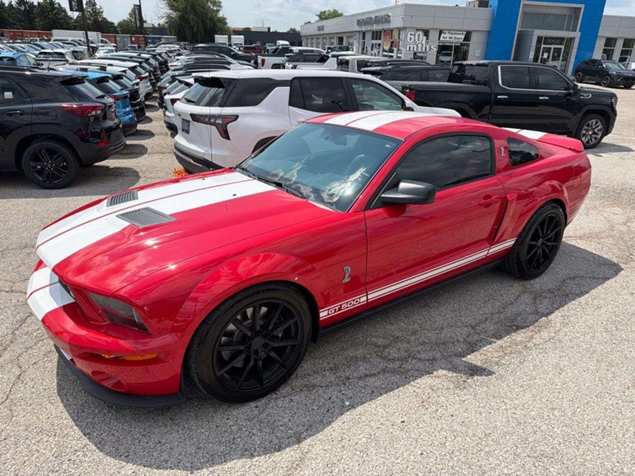 2007 Ford Mustang GT500  - Low Mileage Photo