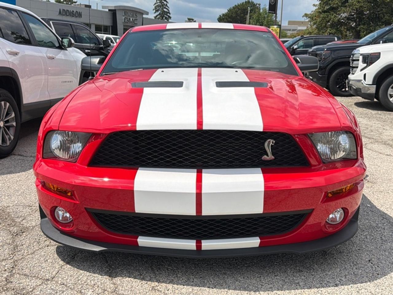 2007 Ford Mustang GT500  - Low Mileage Photo