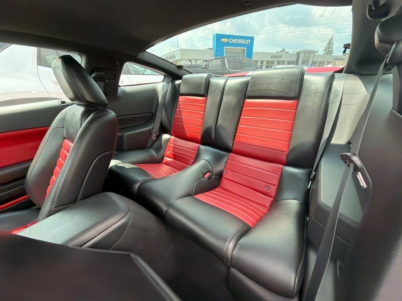 2007 Ford Mustang GT500  - Low Mileage Photo