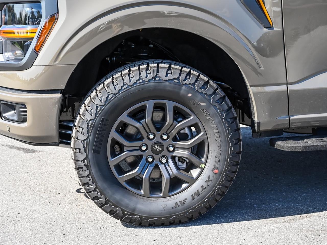 2026 Ford F-150 Tremor Photo