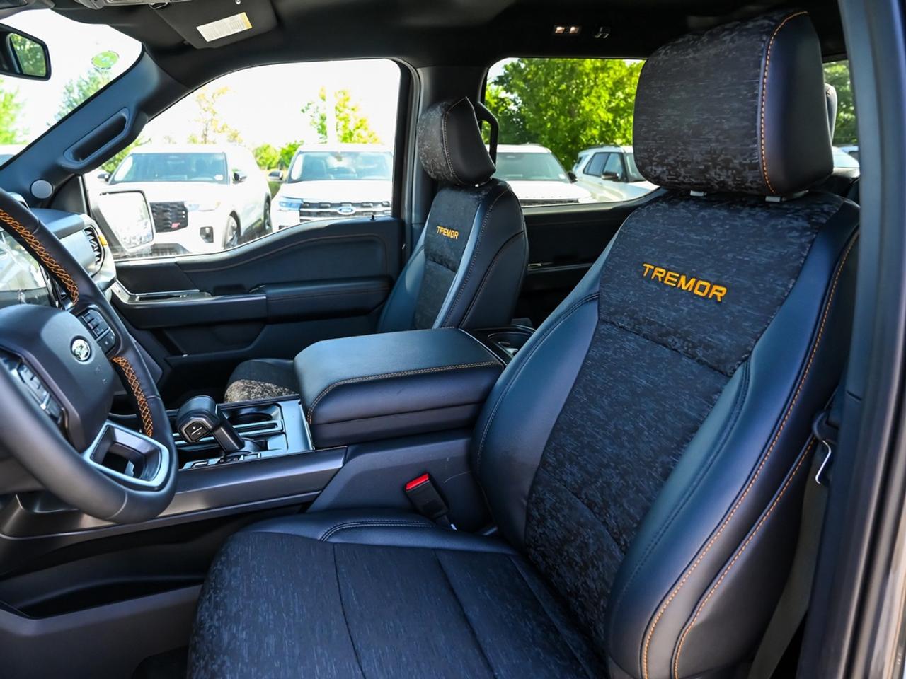 2026 Ford F-150 Tremor Photo