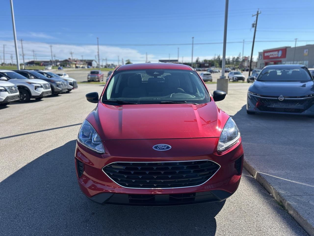 2021 Ford Escape SE 1.5 TURBO Photo