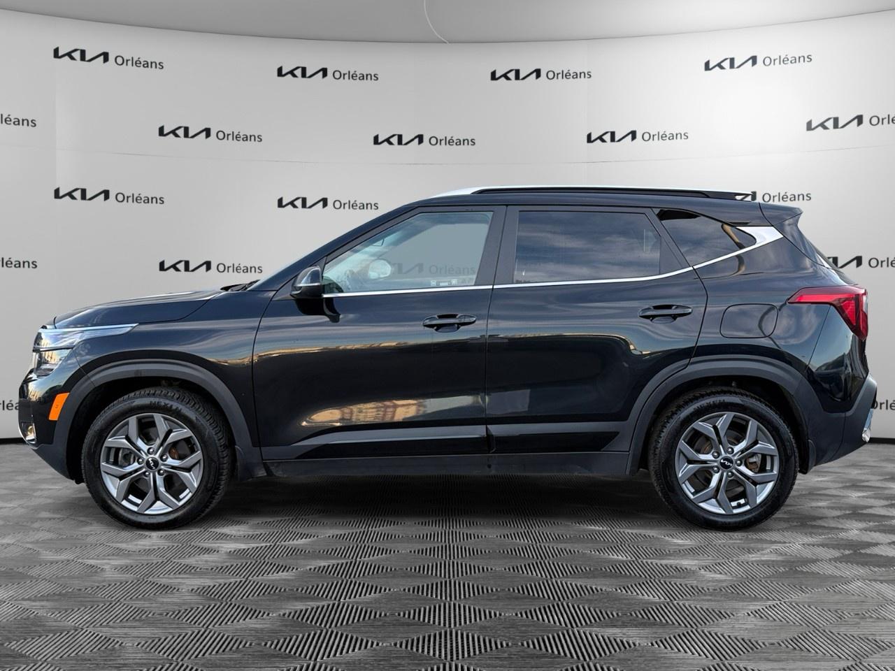 2025 Kia Seltos EX AWD Photo5